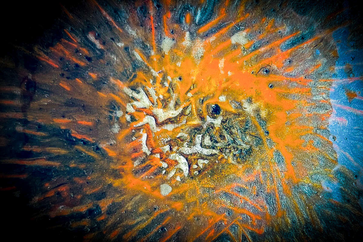 Claire Lassonnery, Abstract Claire, inaugural solo exhibition, Nathalie Gourmet Studio, Kuala Lumpur, 2024, dark background, orange golden spiral form