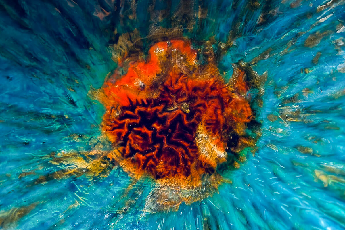 Claire Lassonnery, Méditerranée, group exhibition, Grimaldi Forum, Monaco, 2024, teal blue background, orange red burst form, Mediterranean abstraction